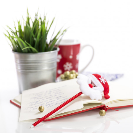 Penna a sfera di natale