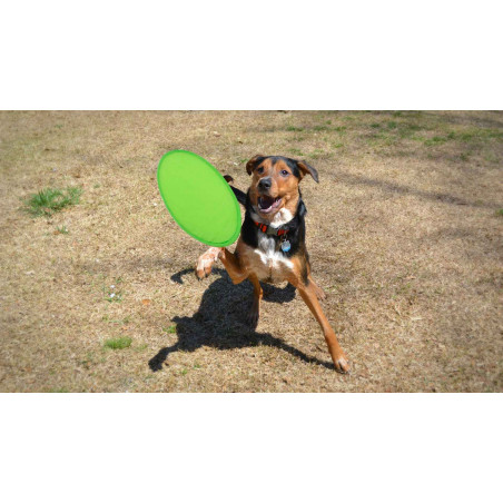 Tessuto frisbee