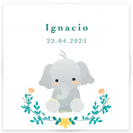 Specchio in custodia con adesivo 5x5 cm personalizzato disegno elefante per dettagli